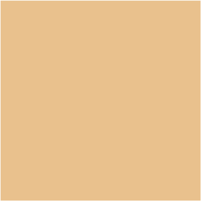 Spot Treat Concealer